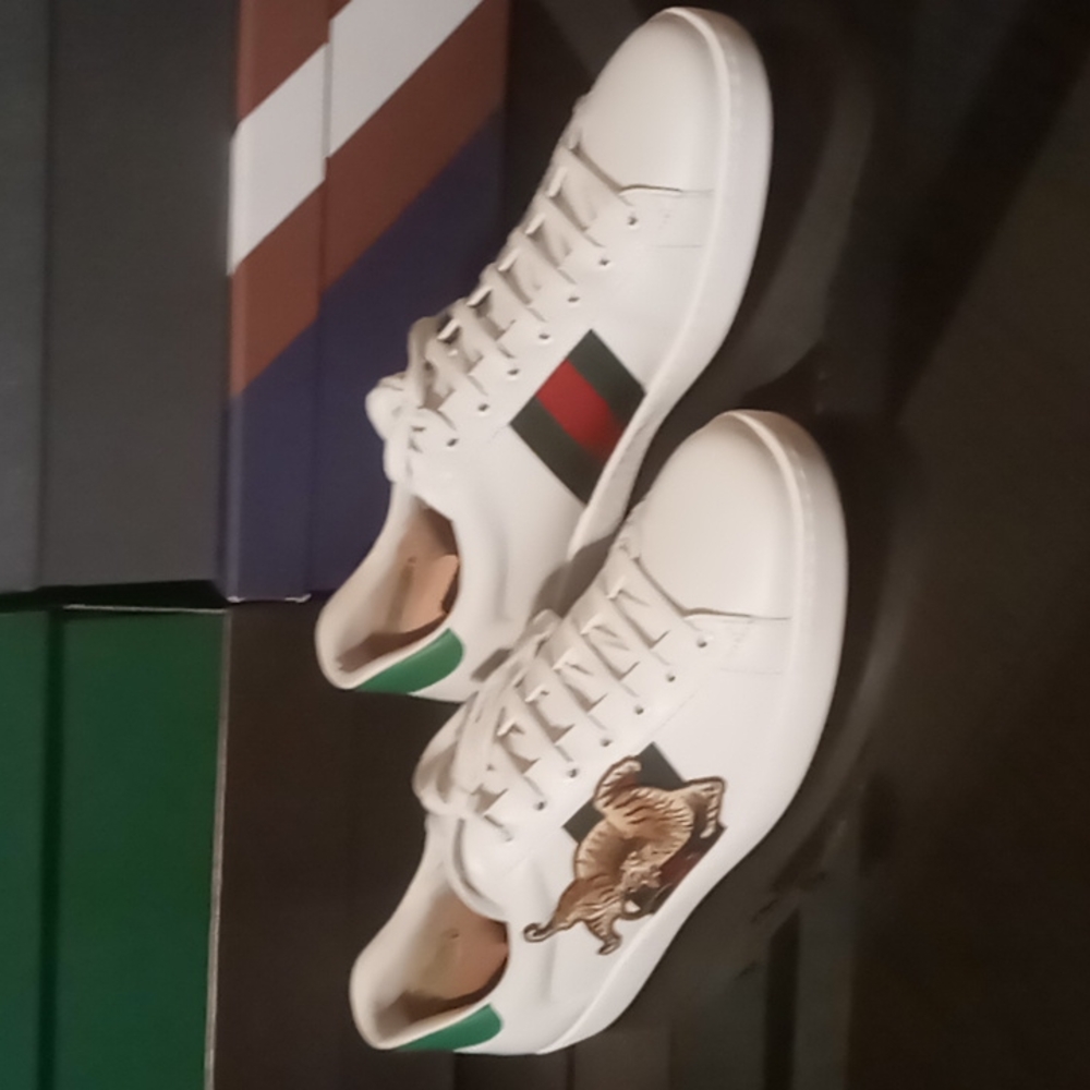 Gucci Ace, Tiger